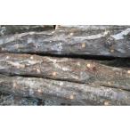 fu.... налог овощи вид .. . префектура Okayama город Okayama ..... дерево 2 шт овощи .. ...