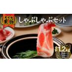 2638 豚肉バラしゃぶ1.2kg KN105-011-01