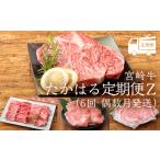 牛肉 ステーキ ブランド牛の定期便 宮崎牛たかはる定期便Z