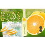16度 500ml