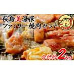 豚肉 焼肉 バーベキュー B2-4506 桜島美湯豚