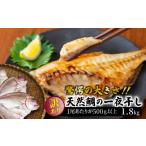 魚貝類 鯛 驚愕の大きさ 訳あり天然鯛の一夜干し1.8kg_1554R