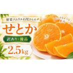 果物類 みかん 2027年 訳あり 優品 野菜ソムリエ石児さんの