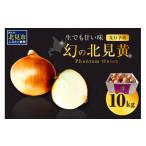 ふるさと納税 野菜類 玉ねぎ 北海道 北見市 予約:2025年9月下旬から順次発送 幻の北見黄 北海道北見産 10kg ( 野菜 たまねぎ 玉ねぎ タマネギ Lサイズ 10キ…