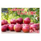 ふるさと納税 りんご 北海道 北見市 予約:2025年10月から順次発送 北海道北見市産 りんご 旭 約3kg ( りんご リンゴ 林檎 果物 フルーツ 期間限定 ) 044-000…