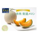 ふるさと納税 メロン メロン赤肉 北海道 北見市 予約:2025年7月から順次発送 有機栽培『赤肉 街道メロン』1.4kg以上×2玉 ( 果物 くだもの フルーツ メロン …