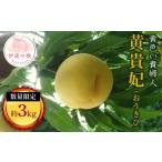 ふるさと納税 もも 福