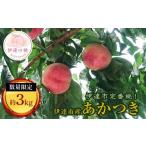 ふるさと納税 もも 福