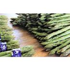 fu.... налог овощи вид спаржа Kagawa префектура восток ... город No.4631-1967 песок река san. специальный отбор aspala1kg L размер .... ...