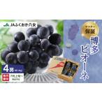 博多ピオーネ 1.4kg