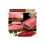 牛肉 ステーキ 08-27-025 農林水産大臣賞受賞