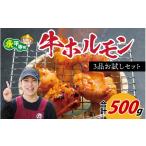 牛肉 ホルモン 牛ホルモン3品 お試しセット 約500g