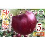 ふるさと納税 りんご 長野県 飯綱町 りんご 秋映 家庭用 5kg 丸西農園 沖縄県への配送不可 2025年10月上旬頃から2025年10月中旬頃まで順次発送予定 令和7年度…