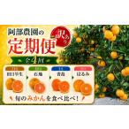 果物類 みかん 阿部農園の訳あり定期便C
