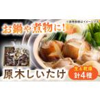 fu.... налог овощи вид .. . Gifu префектура Shirakawa блок . дерево .... Zanmai комплект итого 4 пакет примерно 770g | кастрюля . тест .. udon соба . предмет . было использовано чашка .. кастрюля было использовано ..dasi....
