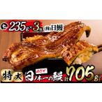 うなぎ 日ノ本一の鰻の蒲焼き 特大 3尾セット 計705g以上