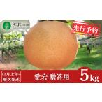 ふるさと納税 梨 新潟県 三条市 先行予約 和梨 愛宕 約5kg 贈答用 12月上旬から発送予定 令和7年度 新潟県三条市産 梨 愛宕梨 三条果樹専門家集団 016P024