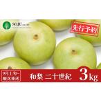 ふるさと納税 梨 新潟県 三条市 先行予約 和梨 二十世紀 約3kg 9月上旬から発送予定 令和7年度 新潟県 三条市産 梨 三条果樹専門家集団 016P034