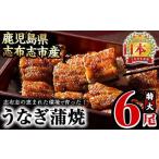 ふるさと納税 うなぎ 鹿児島県 志布志市 うなぎの大楠 特大 6尾セット計1kg超(170g×6) d5-001 6尾セット計1kg超(170g×6) 通常配送 当月〜翌月末までに配送