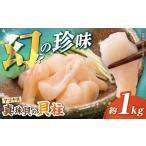 アワビ ホタテ 他 アコヤ貝 貝柱 1kg