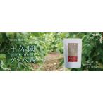 ふるさと納税 お茶類 高知県 南国市