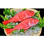 魚貝類 22-85 キンキ 600g前後2尾