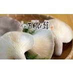 fu.... налог овощи вид .. . Shiga префектура дракон . блок .... сырой 250g редкий пара futoshi ...... . грибы местного производства пищевые ингредиенты здоровье Shiga префектура дракон . блок бесплатная доставка подарок подарок производство земля прямой...