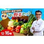 セット 詰合せ 野菜セット シェフの目線で厳選