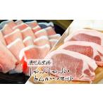 豚肉 ロース B2-1609 鹿児島黒豚しゃぶしゃぶ