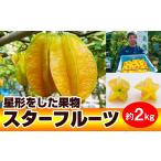 果物類 2026年発送 農家直送 栄養 ドラゴンフルーツ 2kg