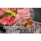 ふるさと納税 牛肉 焼肉・バーベキュー 鹿児島県 南九州市 鹿児島県産 黒牛黒豚BBQセット650g 1185887
