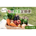 ベジーズ館の夏 冬野菜 年2回コース 7月と