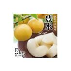 ふるさと納税 梨 山形県 酒田市 刈屋梨 豊水 約5kg(12〜18玉入) SB0745