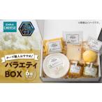 ふるさと納税 鹿児島県 鹿屋市 1216 チーズ職人おすすめ！Kotobuki cheeseバラエティBOX・６種類