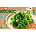 冷凍ブロッコリー 計1.2kg