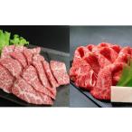 牛肉 セット 足柄牛すき焼き用と焼肉用セット