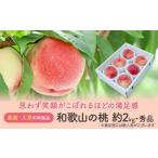 朝採れ和歌山の桃 約2kg
