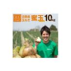 野菜類 玉ねぎ 蜜玉 みつたま 10kg