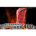 ふるさと納税 牛肉 焼肉・バーベキュー 鹿児島県 南九州市 鹿児島県産黒毛和牛ロース焼肉用400g 1185891