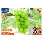 ふるさと納税 ぶどう マスカット 山梨県 富士吉田市  2026年発送 先行予約 山梨県産シャインマスカット3kg フルーツ 山梨県産 果物 旬 高級 シャインマスカッ…