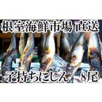 干物 A-28126 根室 市場 直送 一夜干子持ちにしん8尾