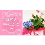 自治体にお任せ 季節の寄せかご 中 花 お花
