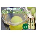 加工品等 紀州南高梅 梅エキスセット
