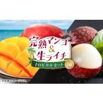 ふるさと納税 マンゴ