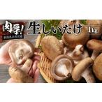 fu.... налог овощи вид .. . Niigata префектура нить рыба река город 11 месяц после последовательный отправка сейчас .. сырой ....1kg( мясо толщина ..18~24 шт ). гора ...... ладонь шиитаке jumbo свежий...