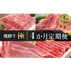 牛肉 焼肉 バーベキュー 飛騨牛 極 4か月 定期便
