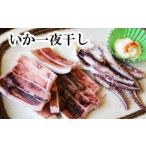 ふるさと納税 干物 イカ 北海道 根室市 B-32043 12／17まで年内配送 いか一夜干し1枚×10P