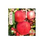 ふるさと納税 りんご 青森県 藤崎町 青森県藤崎町産りんご 完熟サンふじ 家庭用 約5kg 1110657