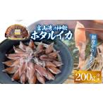 イカ 鮮度そのまま 富山湾の神秘ホタルイカ