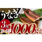 ふるさと納税 うなぎ 福岡県 新宮町 A1526.うなぎの蒲焼３尾（計１，０００ｇ前後）『１〜２ヶ月前後でお届け 』